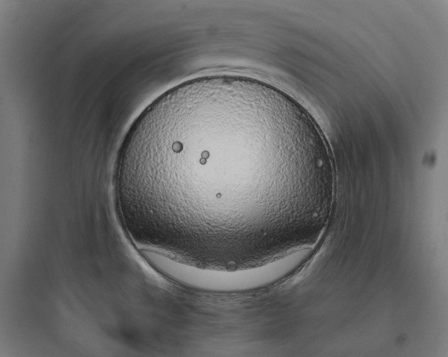 X0000093771533200711061122