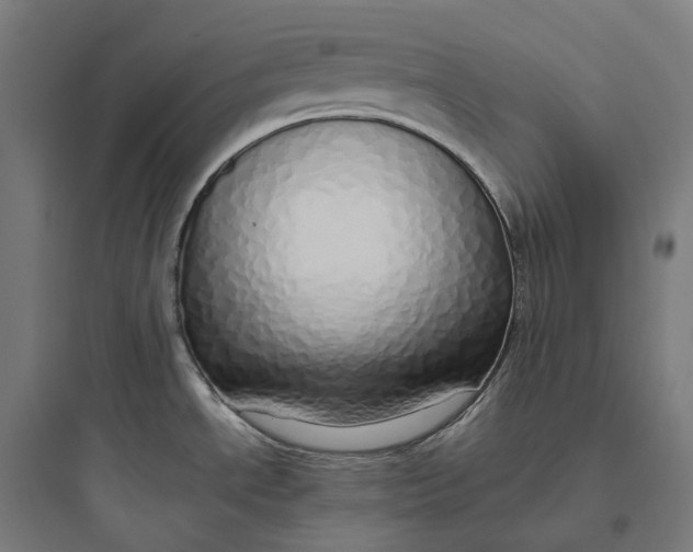 X0000093771534200711061122