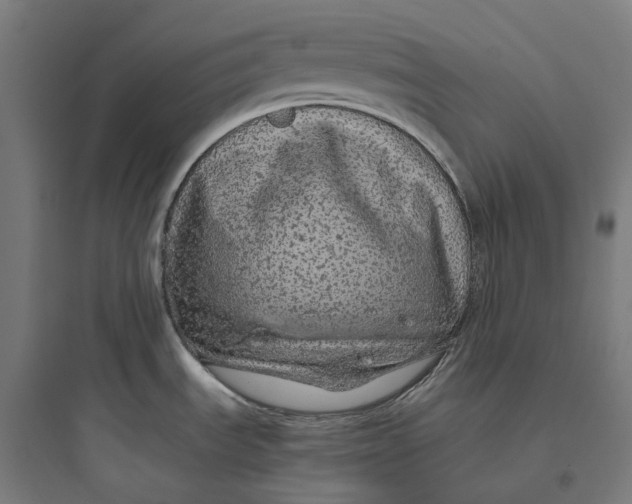 X0000093771535200711061122