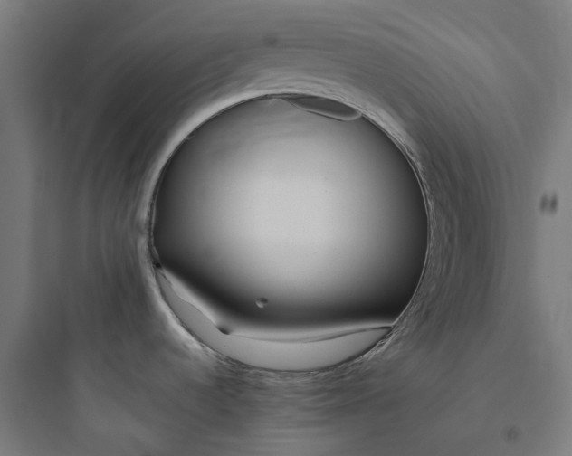 X0000093771536200711061122