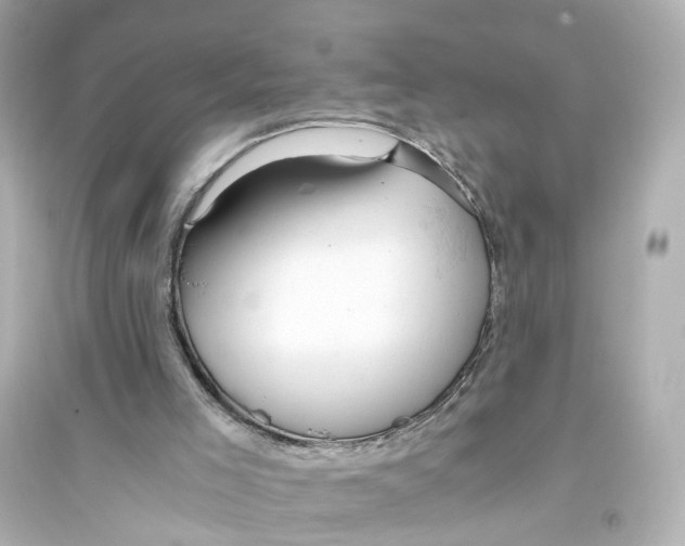 X0000093770005200711131223