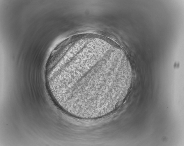 X0000093770006200711131223