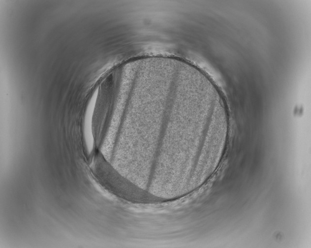 X0000093770009200711131223