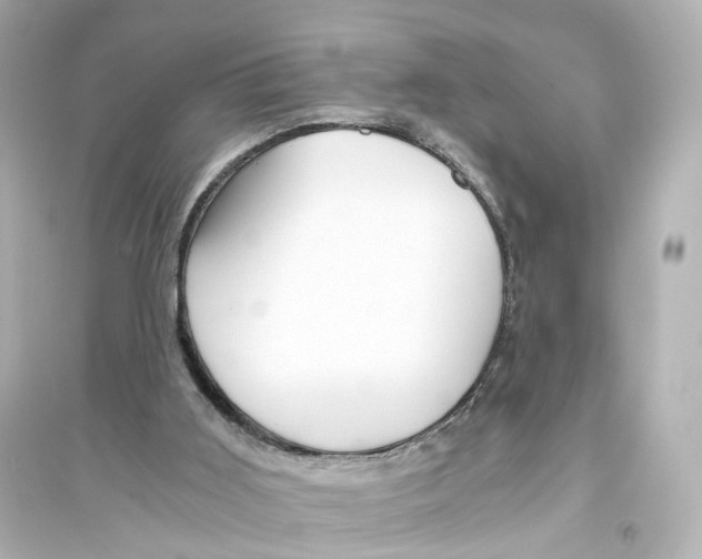 X0000093770011200711131223