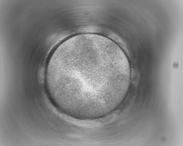 X0000093770012200711131223