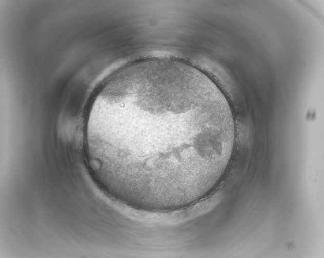 X0000093770016200711131222