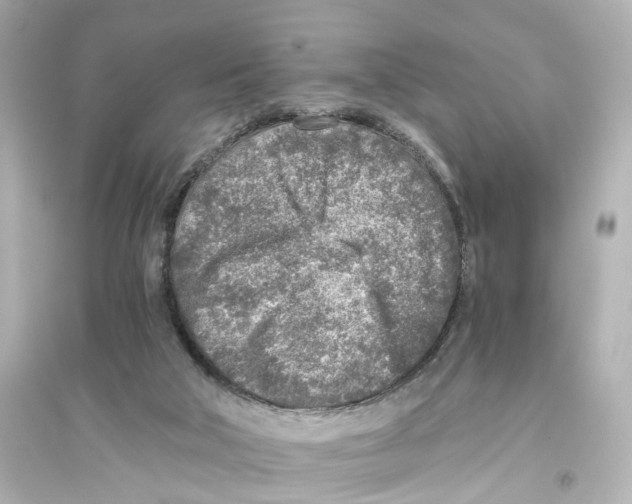 X0000093770018200711131222