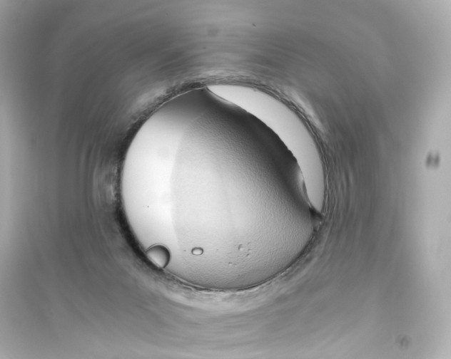 X0000093770023200711131222