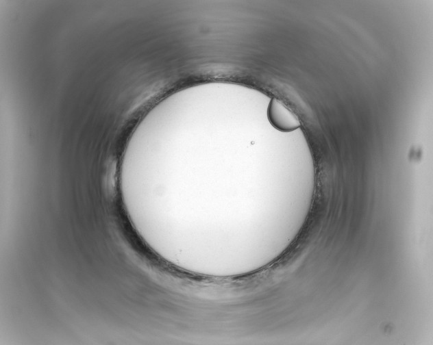 X0000093770024200711131222