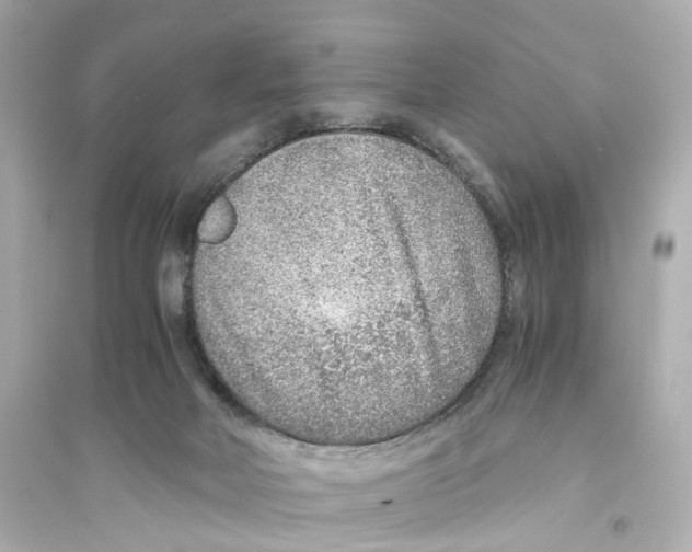 X0000093770026200711131222