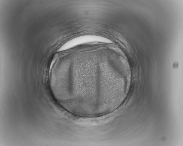 X0000093770029200711131222