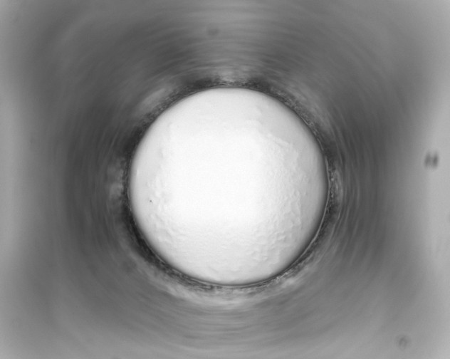 X0000093770032200711131222