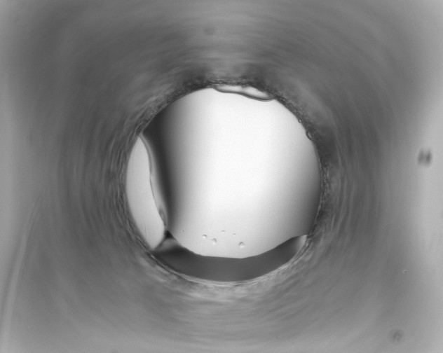 X0000093770033200711131222