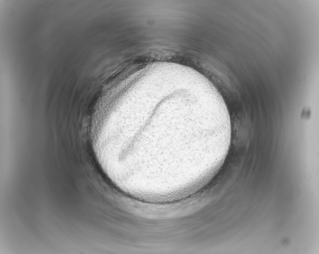 X0000093770034200711131222