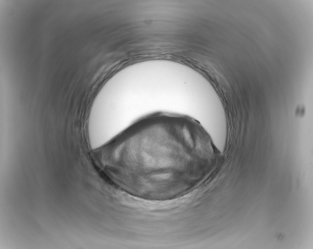 X0000093770035200711131222