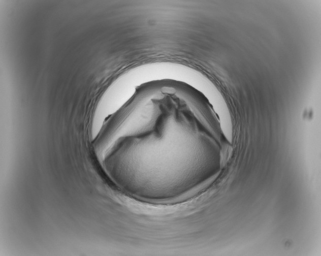 X0000093770039200711131222