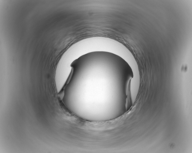 X0000093770041200711131222