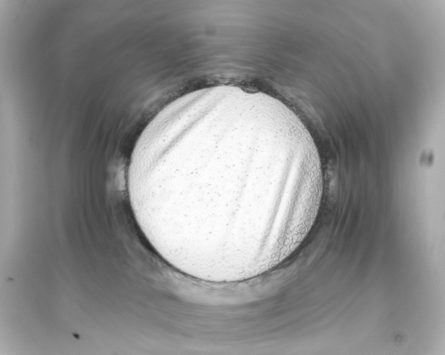 X0000093770042200711131222