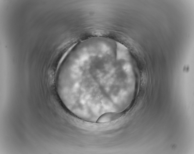 X0000093770043200711131222