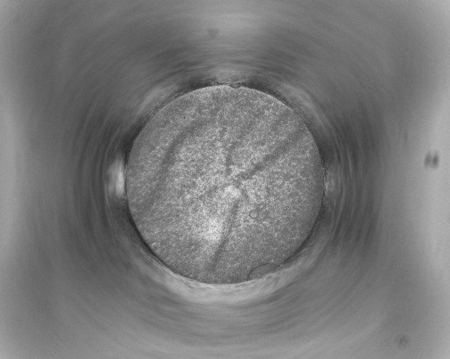 X0000093770046200711131222