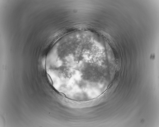 X0000093770047200711131222