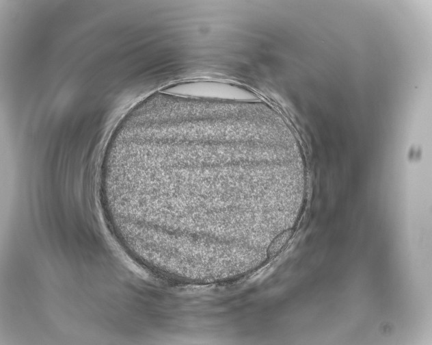 X0000093770049200711131221