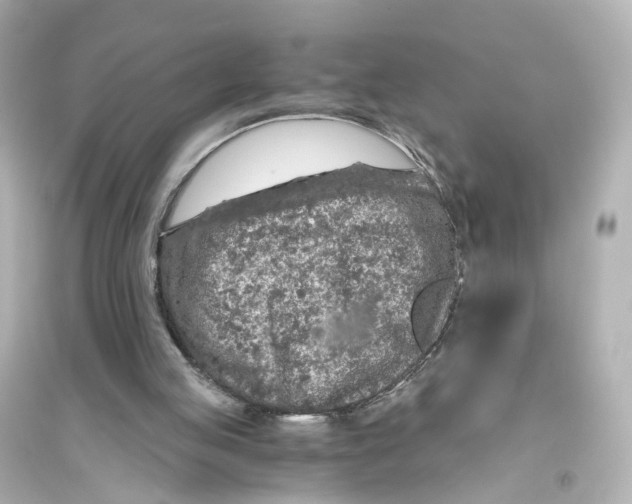 X0000093770053200711131221