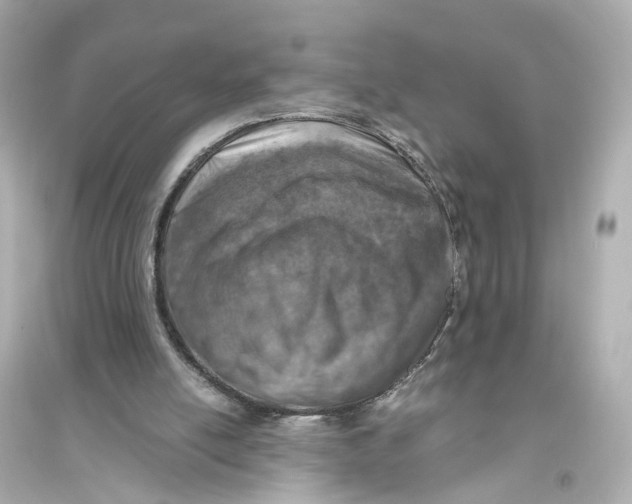 X0000093770054200711131221