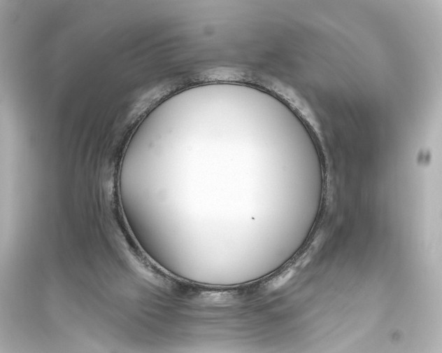 X0000093770057200711131221