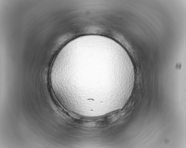 X0000093770058200711131221