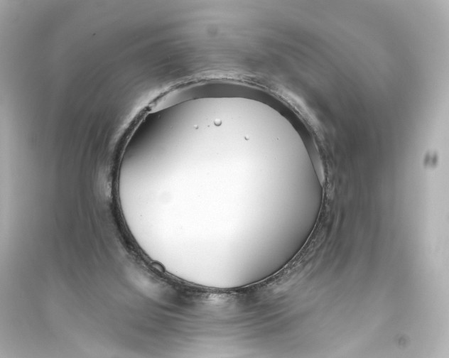 X0000093770060200711131221