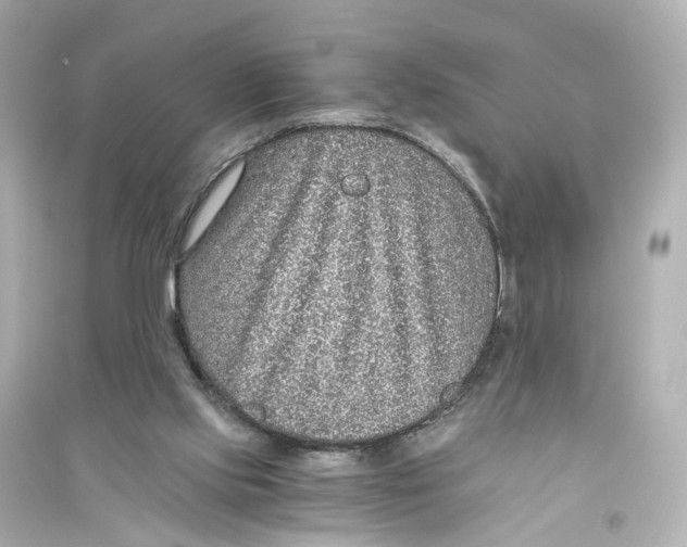 X0000093770061200711131221