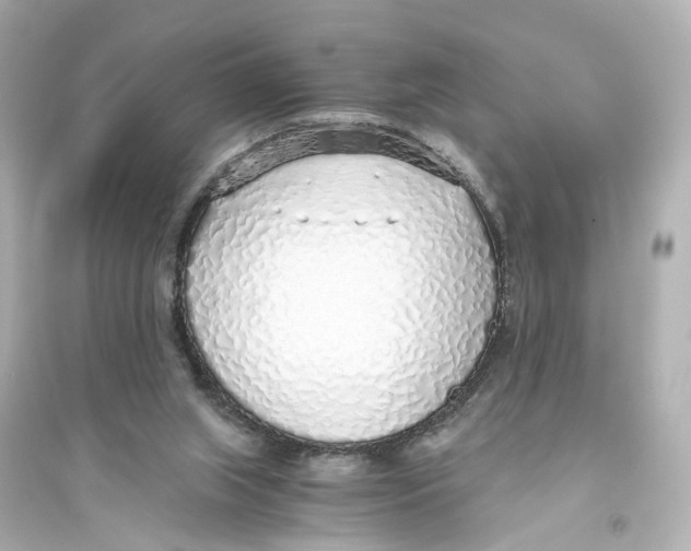 X0000093770063200711131221