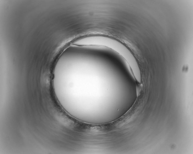 X0000093770064200711131221