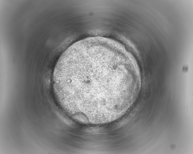 X0000093770065200711131221