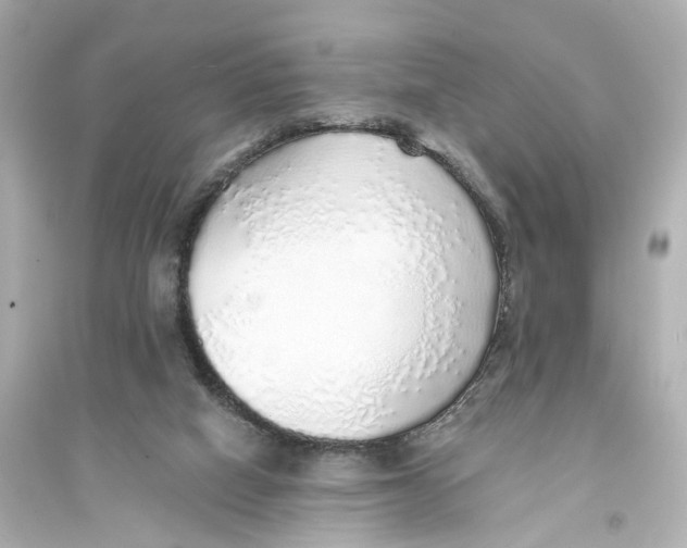 X0000093770066200711131221