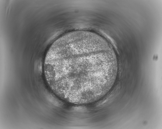 X0000093770067200711131221