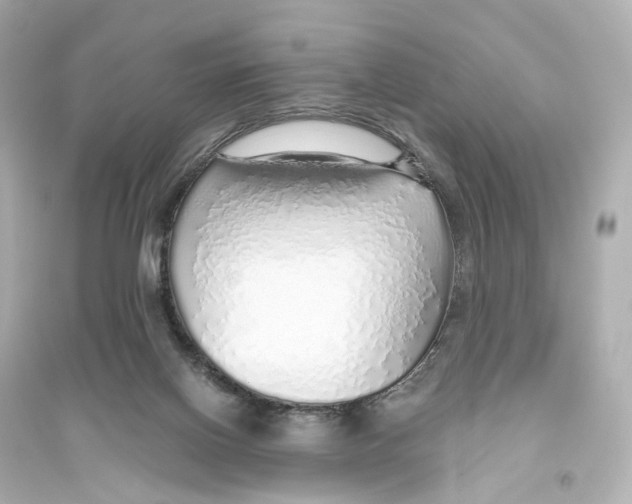 X0000093770070200711131221