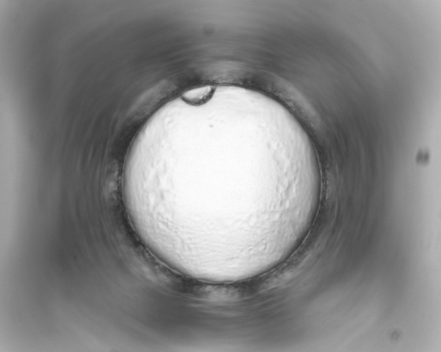 X0000093770073200711131222