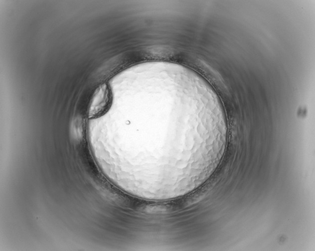 X0000093770075200711131222