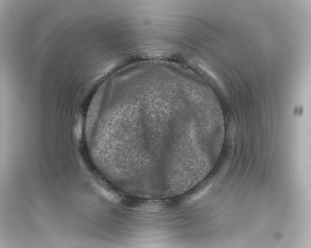 X0000093770076200711131222