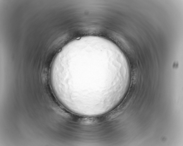 X0000093770077200711131222