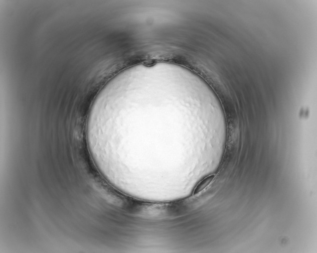 X0000093770078200711131222