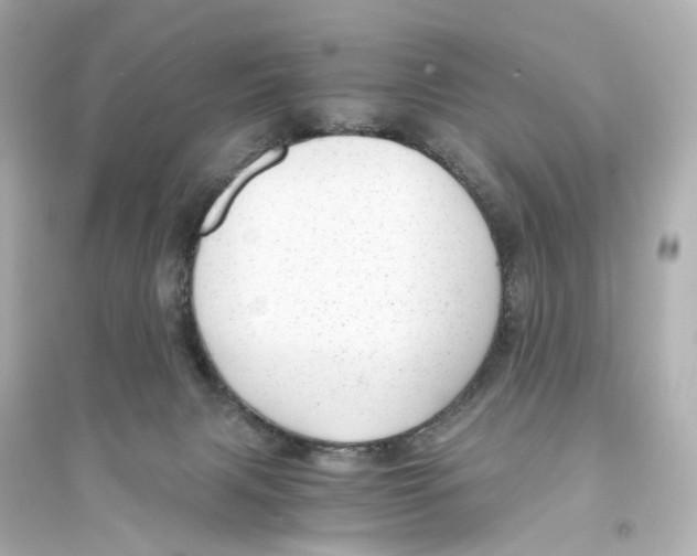 X0000093770079200711131222