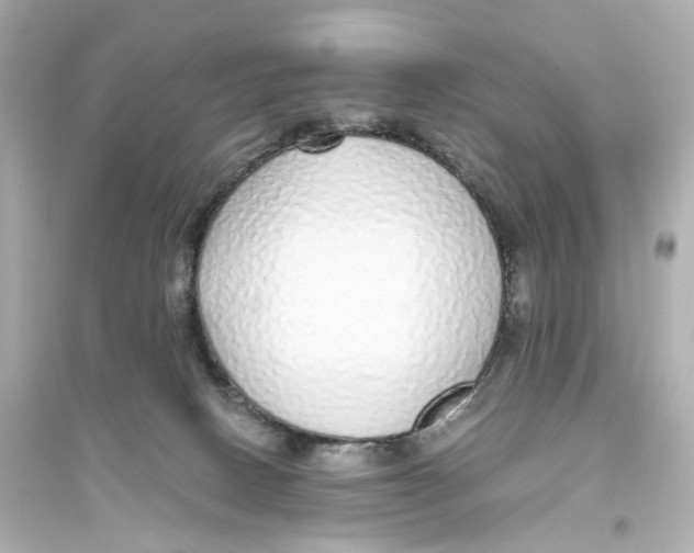 X0000093770082200711131222