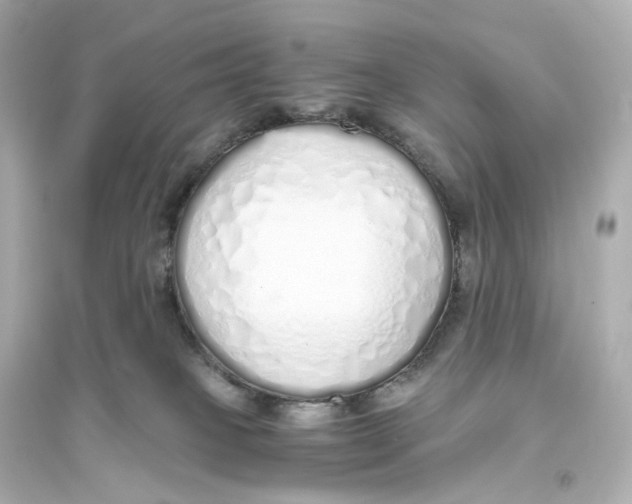 X0000093770085200711131222