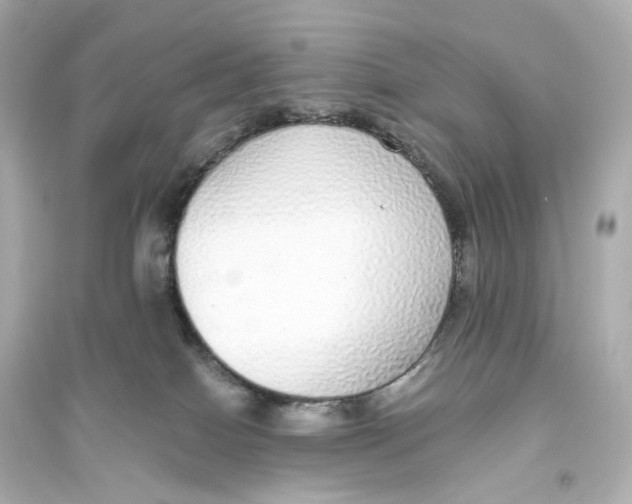 X0000093770086200711131222