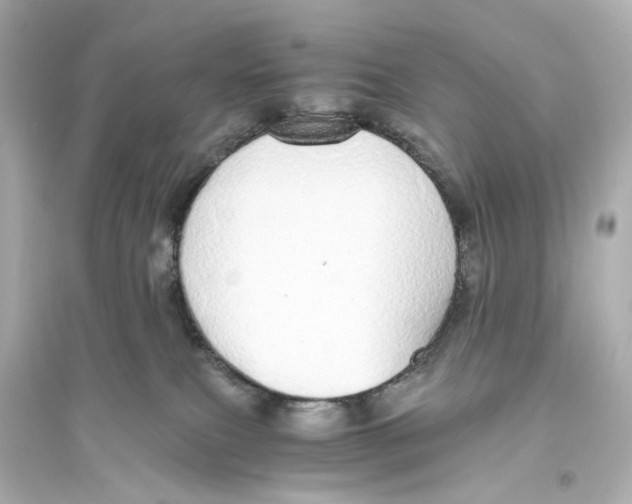 X0000093770087200711131222