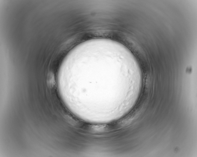 X0000093770089200711131222