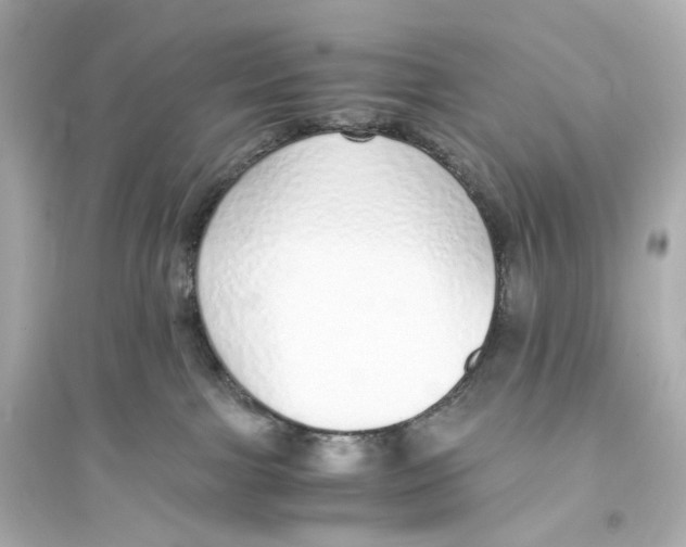 X0000093770091200711131222